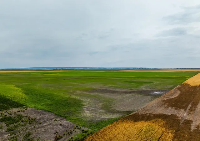 Photo 4 of Land for sale at Tbd 94 St Ne, Bottineau, ND 58318 | MLS# 7130715 | Listing updated on 2026-08-24