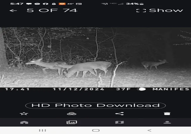 39th image of Tbd Azalea Road, Motley, MN 56466 | MLS# 7130730
