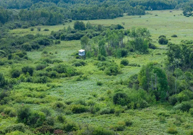 4th image of Tbd Azalea Road, Motley, MN 56466 | MLS# 7130730