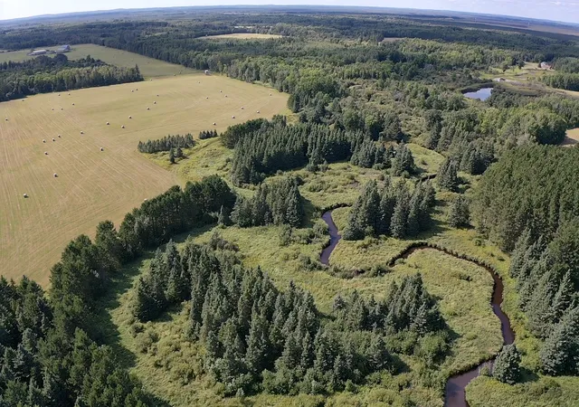 Photo 3 of Land for sale at Tbd Arkola Rd, Toivola, MN 55765 | MLS# 7130756 | Listing updated on 2026-09-01