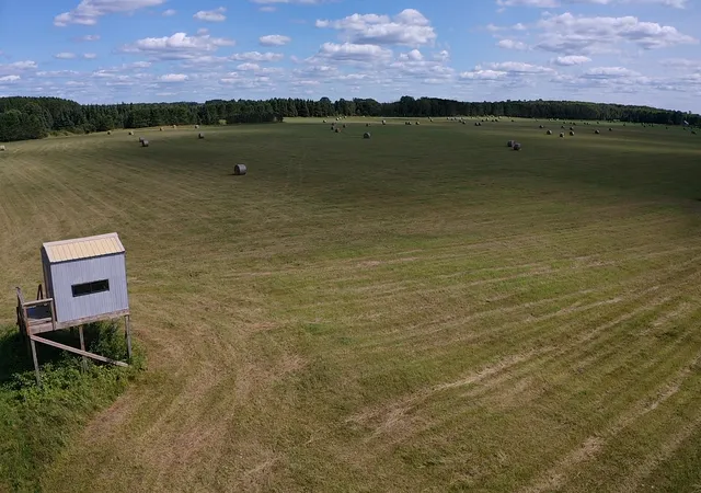 Photo 3 of Land for sale at Tbd Arkola Rd, Toivola, MN 55765 | MLS# 7130756 | Listing updated on 2026-09-01