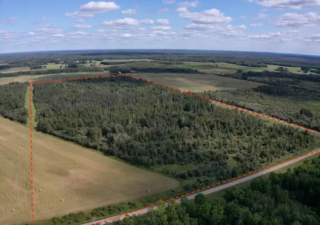 Photo 1 of Land for sale at Tbd Saralampi Rd, Toivola, MN 55765 | MLS# 7130759 | Listing updated on 2026-09-01