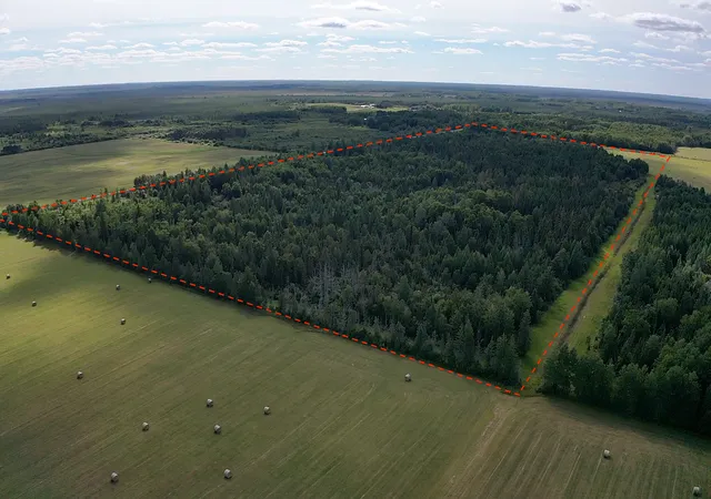 Photo 3 of Land for sale at Tbd Saralampi Rd, Toivola, MN 55765 | MLS# 7130759 | Listing updated on 2026-09-01