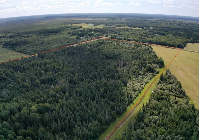 Photo 3 of Land for sale at Tbd Saralampi Rd, Toivola, MN 55765 | MLS# 7130759 | Listing updated on 2026-09-01