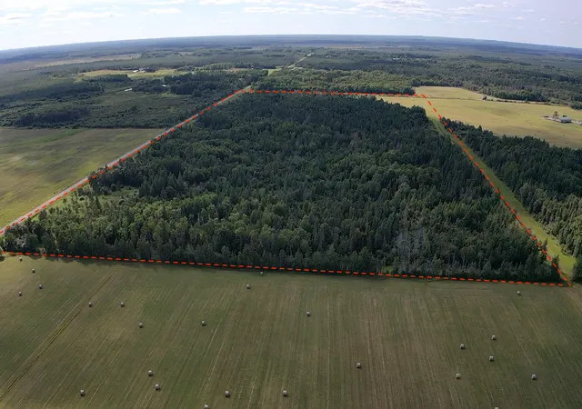 Photo 4 of Land for sale at Tbd Saralampi Rd, Toivola, MN 55765 | MLS# 7130759 | Listing updated on 2026-09-01