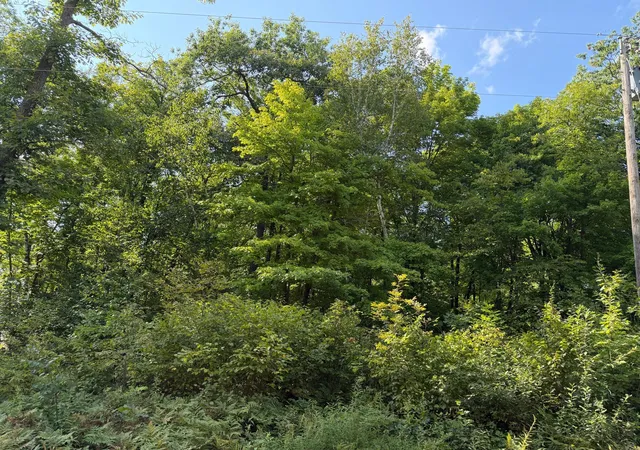 1st image of 25xxx Eagle Ridge Rd, Aitkin, MN 56431 | MLS# 7130846