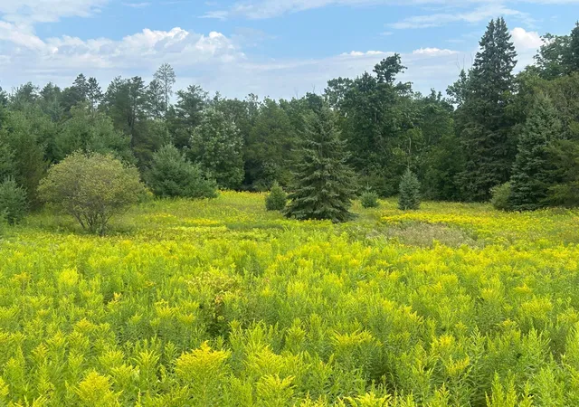 2nd image of Tbd Steinhart Circle, Grand Rapids, MN 55744 | MLS# 7130859
