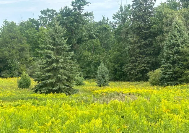 4th image of Tbd Steinhart Circle, Grand Rapids, MN 55744 | MLS# 7130859