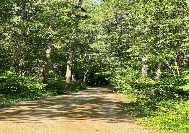 Photo 4 of Land for sale at Tbd Glacial Ridge Trl, Nevis, MN 56467 | MLS# 7130970 | Listing updated on 2026-09-02