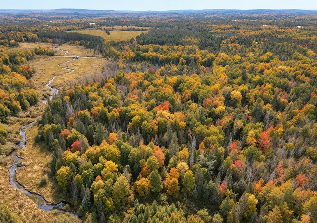 Photo 1 of Land for sale at Lot 1 Smith Rd N, Couderay, WI 54828 | MLS# 7131009 | Listing updated on 2026-10-07