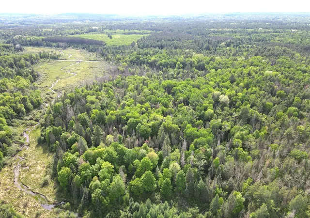 3rd image of Lot 1 Smith Rd N, Couderay, WI 54828 | MLS# 7131009