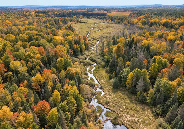Photo 3 of Land for sale at Lot 1 Smith Rd N, Couderay, WI 54828 | MLS# 7131009 | Listing updated on 2026-10-07