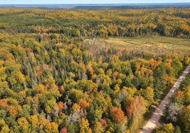 Photo 4 of Land for sale at Lot 1 Smith Rd N, Couderay, WI 54828 | MLS# 7131009 | Listing updated on 2026-10-07