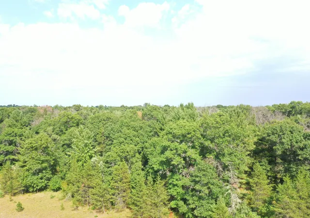 4th image of Xxx Soderbeck Rd, Grantsburg, WI 54840 | MLS# 7131011