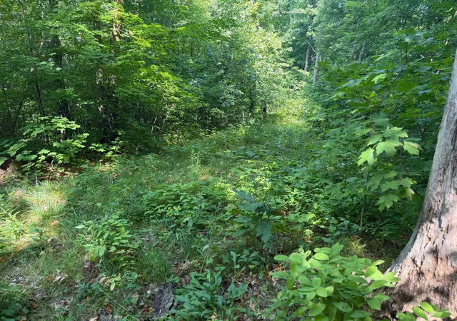 Photo 3 of Land for sale at Tbd S Tulaby Lake Ln, Waubun, MN 56589 | MLS# 7131116 | Listing updated on 2026-08-26