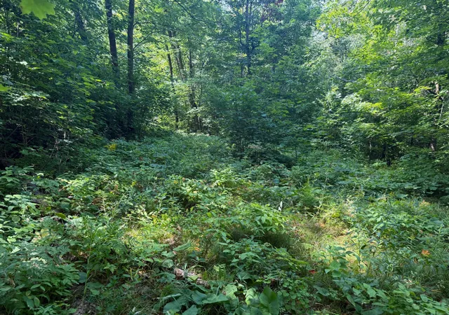 Photo 3 of Land for sale at Tbd S Tulaby Lake Ln, Waubun, MN 56589 | MLS# 7131116 | Listing updated on 2026-08-26