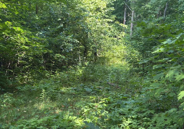 Photo 4 of Land for sale at Tbd S Tulaby Lake Ln, Waubun, MN 56589 | MLS# 7131116 | Listing updated on 2026-08-26