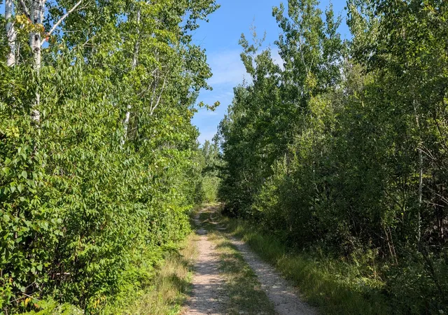 1st image of Tbd Kennedy Road, Cook, MN 55723 | MLS# 7131157