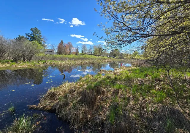 2nd image of Tbd Ne West Fawn Lake Road, Stacy, MN 55079 | MLS# 7131189