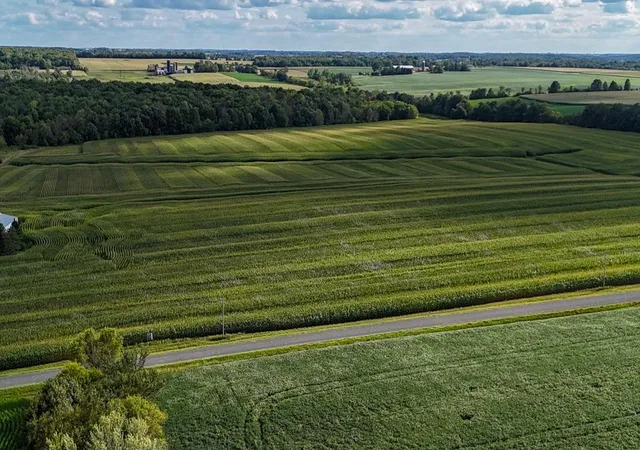Photo 4 of Land for sale at Tbd 140Th Avenue, Glenwood City, WI 54013 | MLS# 7131232 | Listing updated on 2026-08-21
