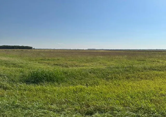 Photo 3 of Land for sale at Tbd 140th St Ne, Thief River Falls, MN 56701 | MLS# 7131241 | Listing updated on 2026-08-21