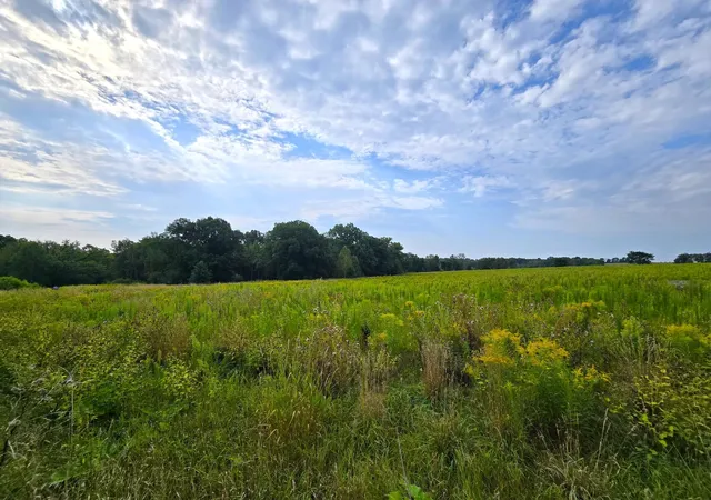 48th image of 39 5th Ave, Clayton, WI 54004 | MLS# 7131321