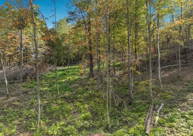 4th image of Lot 2 Tbd 1240Th Ave, New Haven Twp, WI 54734 | MLS# 7131522