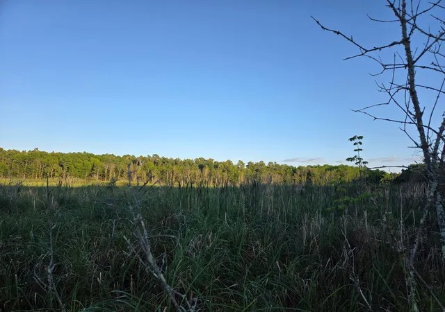 Photo 2 of Land for sale at Tbd Lot 3 190th St, Bagley, MN 56621 | MLS# 7131596 | Listing updated on 2026-08-27