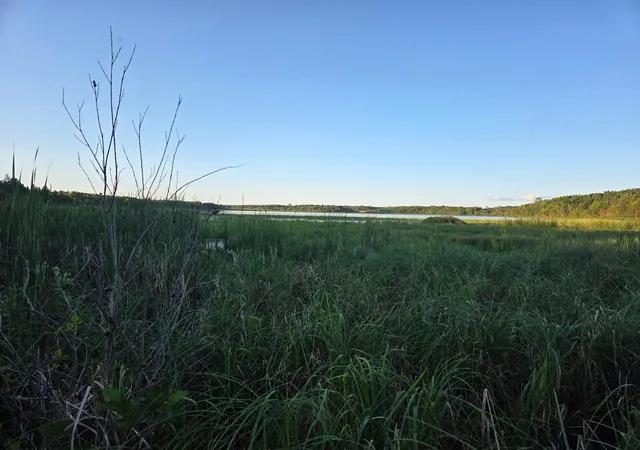Photo 3 of Land for sale at Tbd Lot 3 190Th St, Bagley, MN 56621 | MLS# 7131596 | Listing updated on 2026-08-27