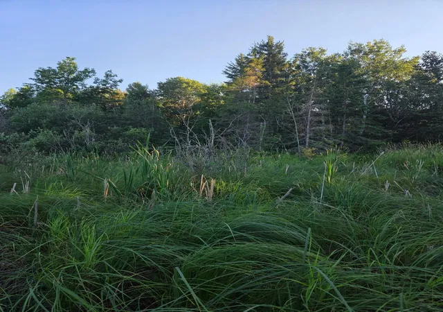 Photo 4 of Land for sale at Tbd Lot 3 190Th St, Bagley, MN 56621 | MLS# 7131596 | Listing updated on 2026-08-27