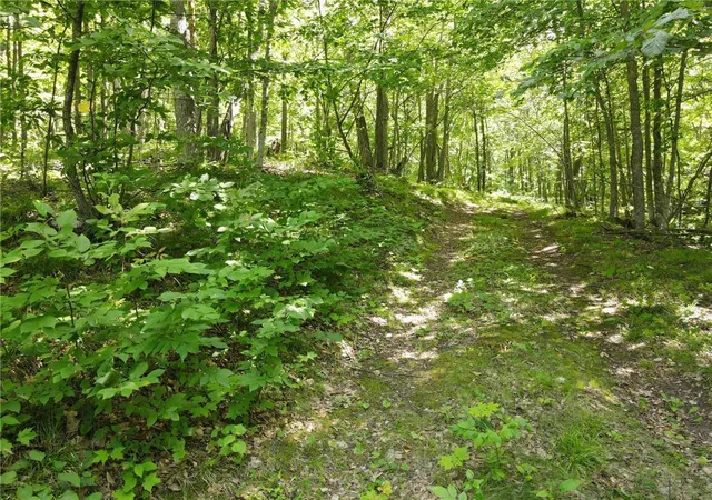 Photo 2 of Land for sale at Tbd Idas Road, Osage, MN 56570 | MLS# 7131620 | Listing updated on 2026-08-21