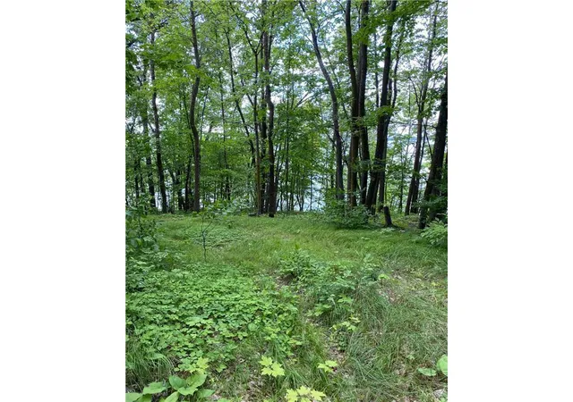Photo 3 of Land for sale at Tbd Idas Road, Osage, MN 56570 | MLS# 7131620 | Listing updated on 2026-08-21