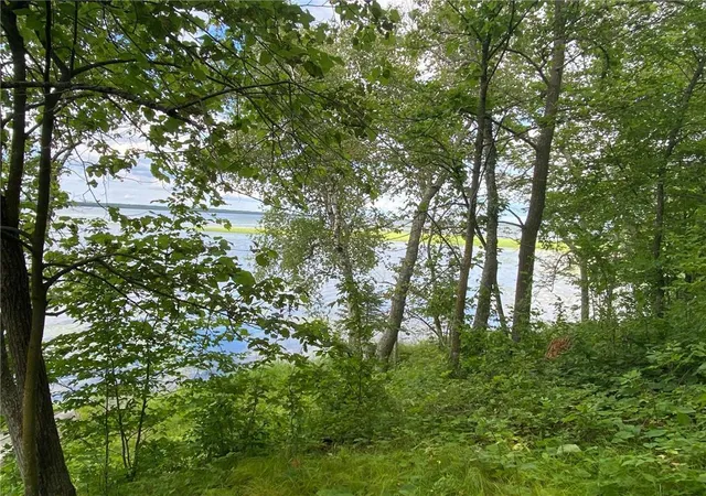 Photo 4 of Land for sale at Tbd Idas Road, Osage, MN 56570 | MLS# 7131620 | Listing updated on 2026-08-21