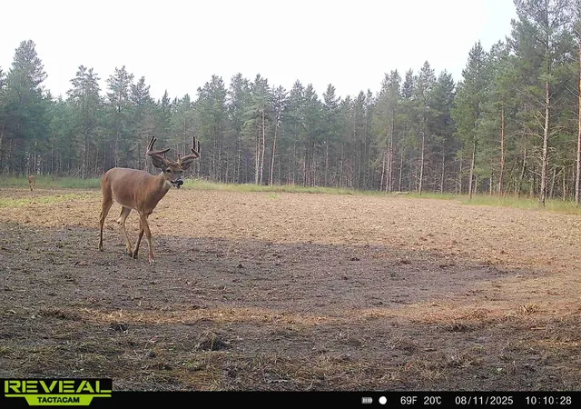 Photo 1 of Land for sale at 16921 320th St, Menahga, MN 56464 | MLS# 7131660 | Listing updated on 2026-08-27