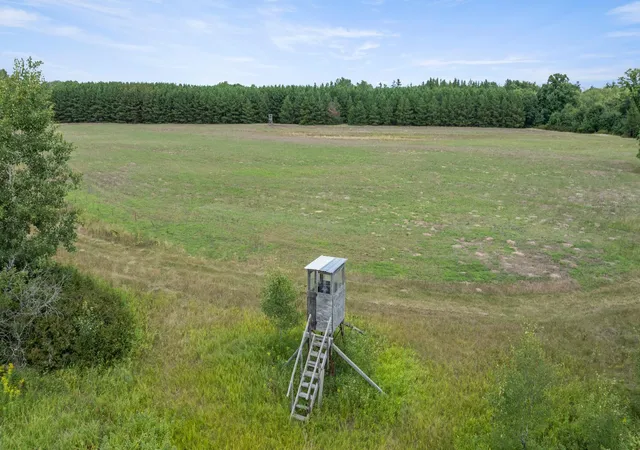 Photo 3 of Land for sale at 16921 320th St, Menahga, MN 56464 | MLS# 7131660 | Listing updated on 2026-08-27