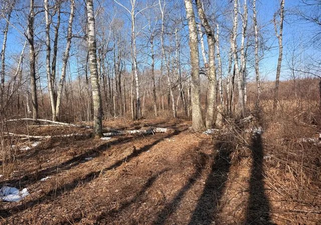 39th image of Tbd Happy Tree Lane, Bruno, MN 55712 | MLS# 7131675