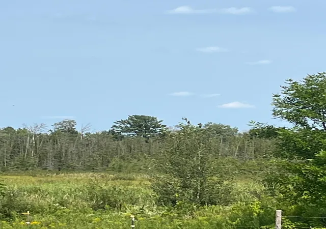 Photo 3 of Land for sale at 1221 Highway 65, Braham, MN 55006 | MLS# 7131697 | Listing updated on 2026-09-22