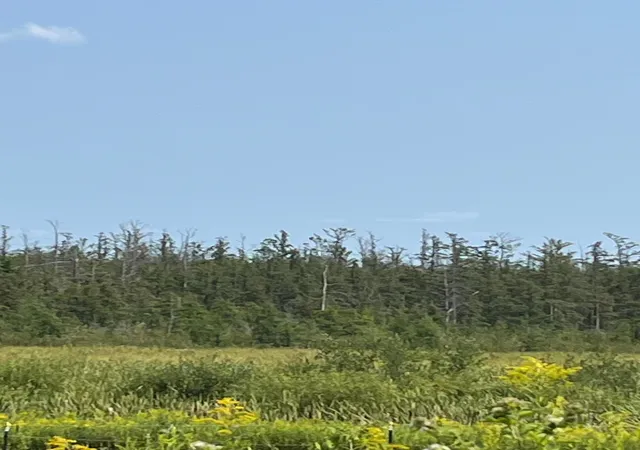 Photo 3 of Land for sale at 1221 Highway 65, Braham, MN 55006 | MLS# 7131697 | Listing updated on 2026-09-22