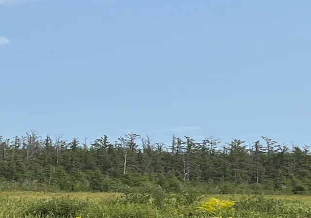 Photo 4 of Land for sale at 1221 Highway 65, Braham, MN 55006 | MLS# 7131697 | Listing updated on 2026-09-22