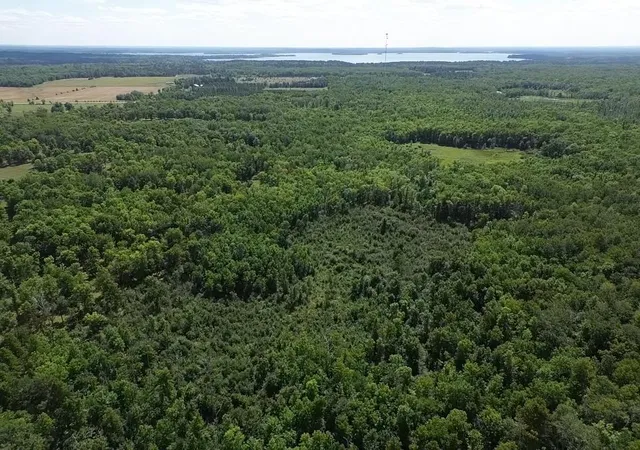 12th image of Tbd County Rd 1, Pine River, MN 56474 | MLS# 7131812