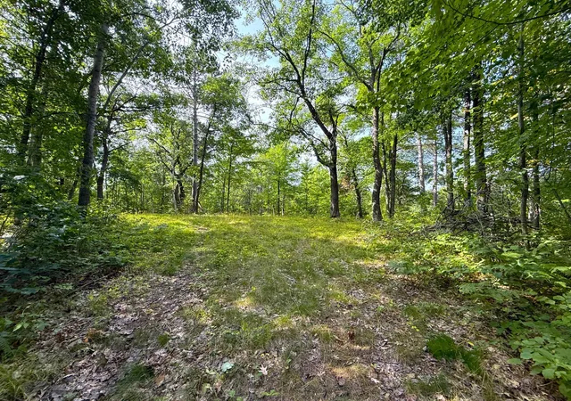 1st image of W9xxx Webb Lake Dr, Trego, WI 54888 | MLS# 7132361
