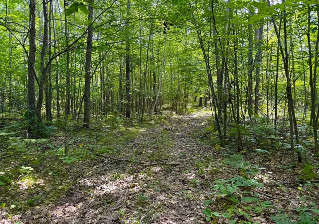 5th image of W9Xxx Webb Lake Dr, Trego, WI 54888 | MLS# 7132361