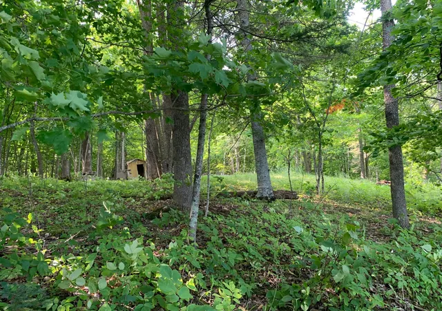 Photo 2 of Land for sale at 1888 Trillium Dr Nw, Hackensack, MN 56452 | MLS# 7132366 | Listing updated on 2026-09-05