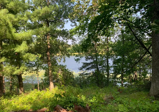 Photo 3 of Land for sale at 1888 Trillium Dr Nw, Hackensack, MN 56452 | MLS# 7132366 | Listing updated on 2026-09-05