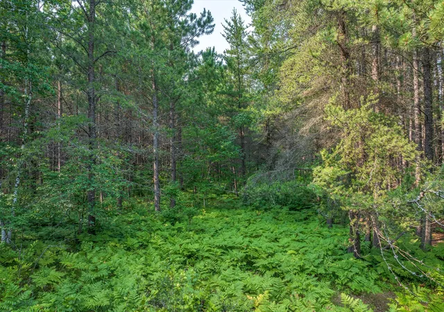 image of Tbd Hwy 21, Babbitt, MN 55706 | MLS# 7132414