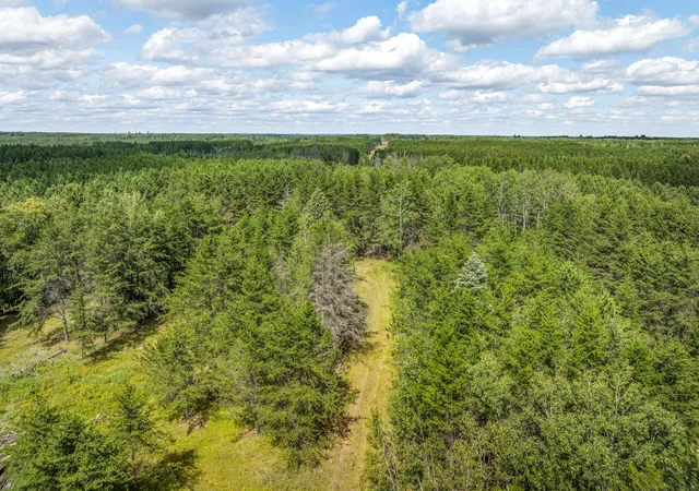 9th image of Tbd Hwy 21, Babbitt, MN 55706 | MLS# 7132414
