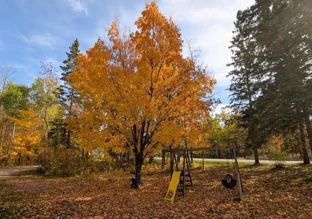 Photo 3 of Single family home for sale at 15890 390Th St, Bagley, MN 56621 | MLS# 7132427 | Listing updated on 2026-10-06