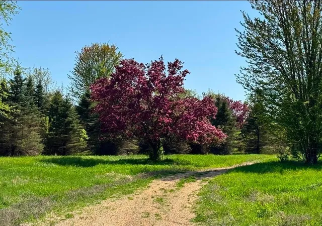 Photo 3 of Land for sale at 12843 80Th St S, Hastings, MN 55033 | MLS# 7132440 | Listing updated on 2026-09-07