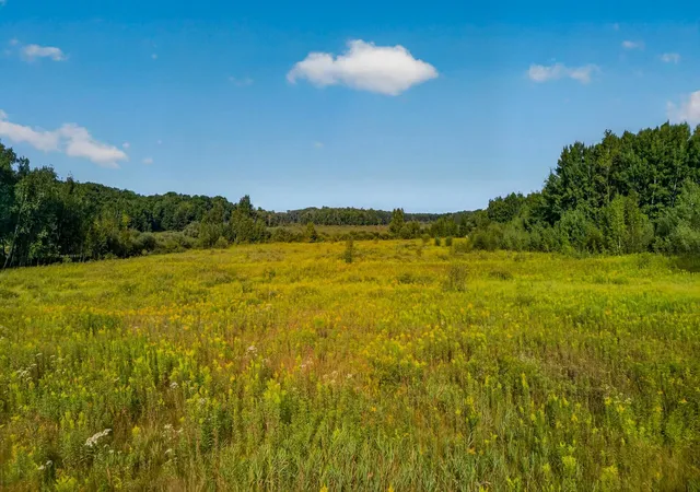 8th image of Tbd (parcel C) Olson Rd, Hinckley, MN 55037 | MLS# 7132475