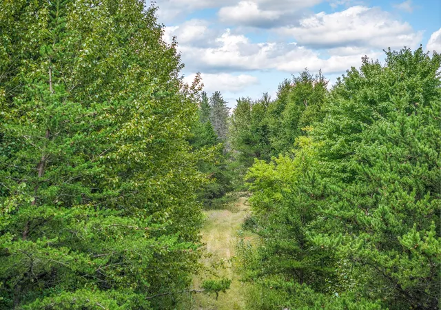 1st image of Tract B Hwy 21, Babbitt, MN 55706 | MLS# 7132484